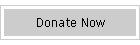 Donate Now